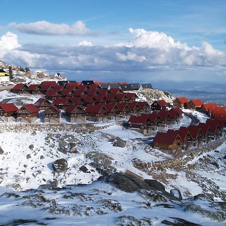 Luna Chalets Da Montanha - Serra Da Estrela Covilha Bagian luar foto