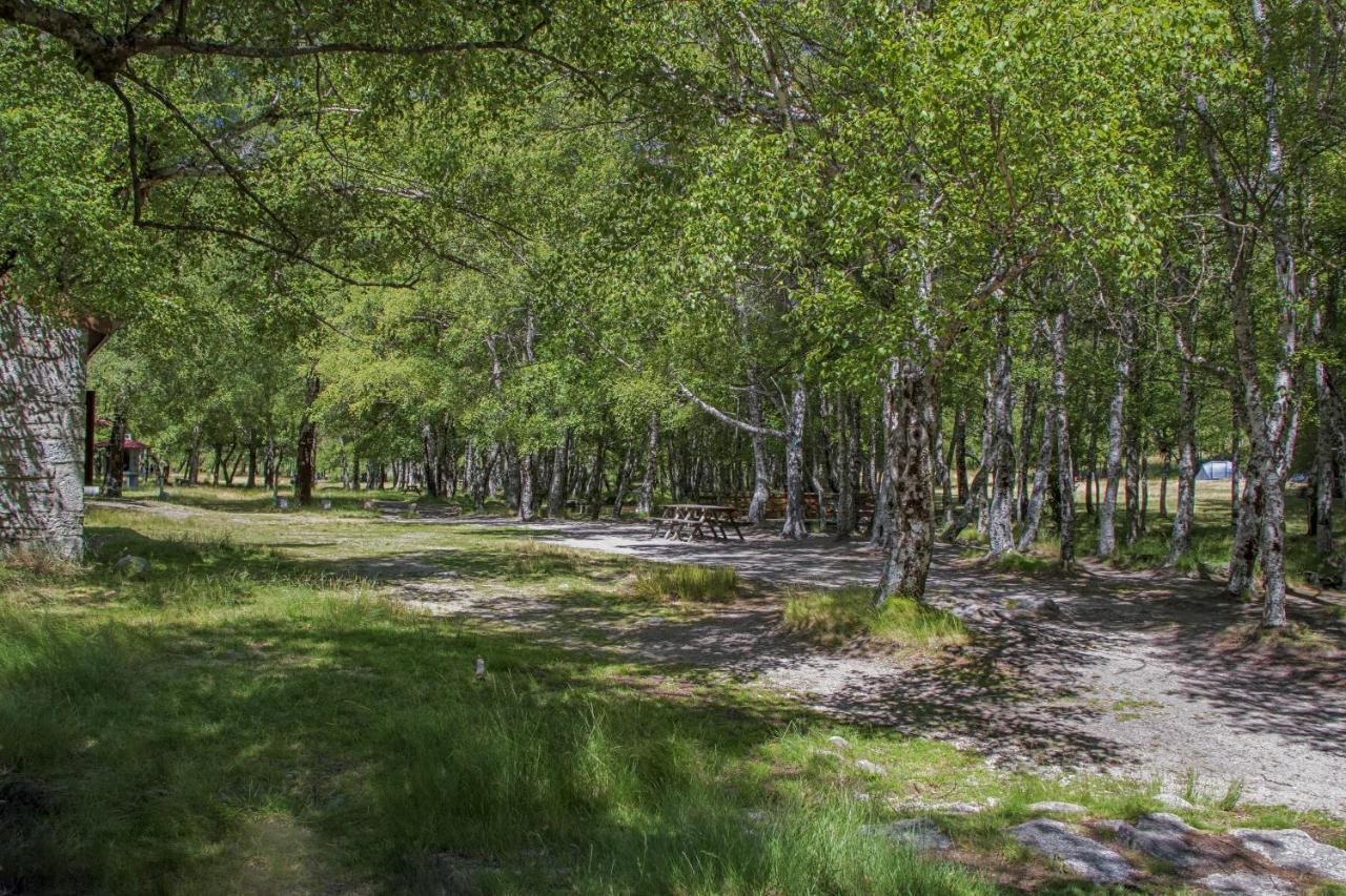 Luna Chalets Da Montanha - Serra Da Estrela Covilha Bagian luar foto