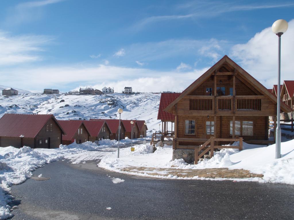 Luna Chalets Da Montanha - Serra Da Estrela Covilha Bagian luar foto